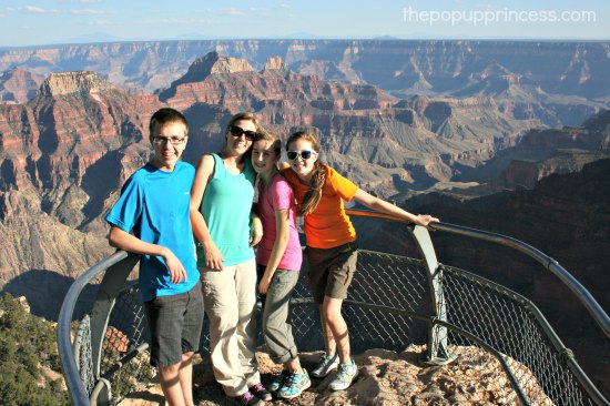 Viewpoint North Rim Grand Canyon