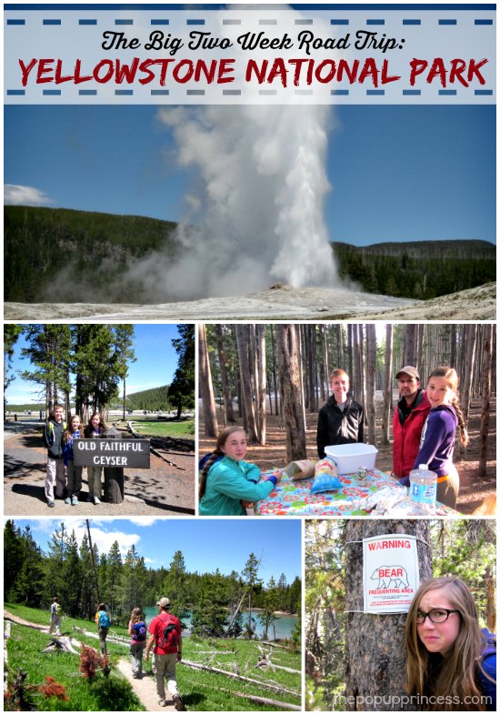 Miljard Glimmend Onafhankelijk The Big Two Week Road Trip: Yellowstone National Park - The Pop Up Princess
